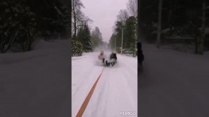 Экстрималы!!!