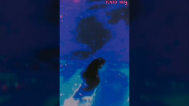 ᵀᴱᴺᵀᴼ ᴹᵁž - Yog Sothoth.v2 смотреть онлайн