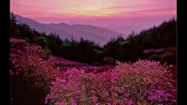 Духовная практика и сопротивление 2 Экхарт Толле смотреть онлайн