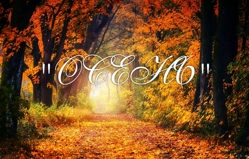 Лишь на миг красиво очень, нам вскружила листья осень! смотреть онлайн