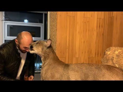 Папа пришел!  Месси встречает папу. Daddy's Here! Messi Meet The Daddy