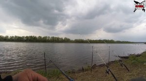 РЫБАЛКА НА ФИДЕР В МАЕ! ЛОВЛЯ ЛЕЩА и ПЛОТВЫ! Рыбалка на ОКЕ весной!