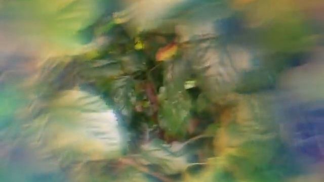 new floor Java dam mast video смотреть онлайн