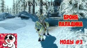 Skyrim.Броня Паладина