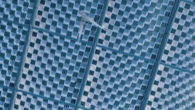 Festo BionicSwift 2021