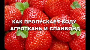 Как пропускает воду агроткань и спанбонд