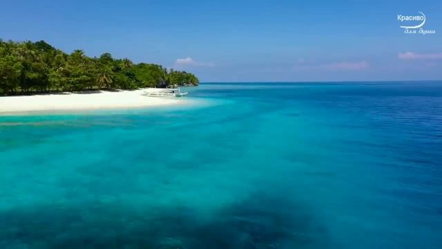 Рассказ про друзей и не очень смотреть онлайн