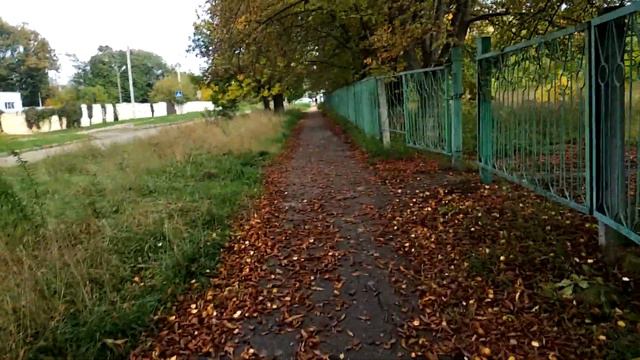 Харьков Вечерние Новости 1.10 Ничего не Сказав Развожу обсуждения)! смотреть онлайн