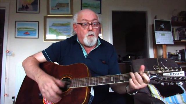 12-string Guitar: Let’s Talk Dirty In Hawaiian (Including lyrics and chords) смотреть онлайн