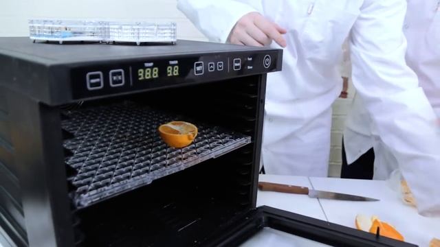 Что если ВЫСУШИТЬ мандарин, слайм, кукурузу, яйцо? / Научные нубы 2.0 смотреть онлайн