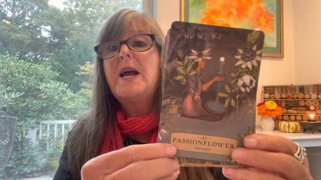 The Herbal Astrological Oracle Walk Through. #herbalastrologicaloracledeck смотреть онлайн