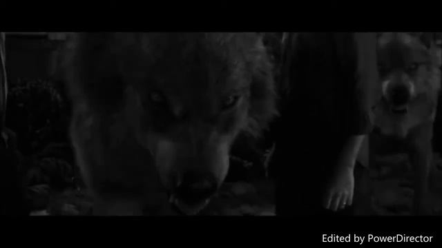 Twilight Wolves - The World Is Unraveling