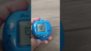 Как играть в  тамагочи  . Инструкция от Киры?