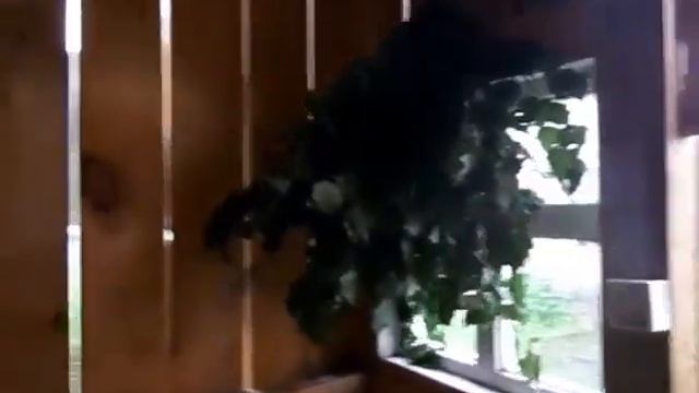 Караидель-Нижний Суян смотреть онлайн