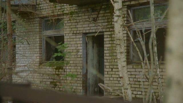 Репортаж Вырица смотреть онлайн