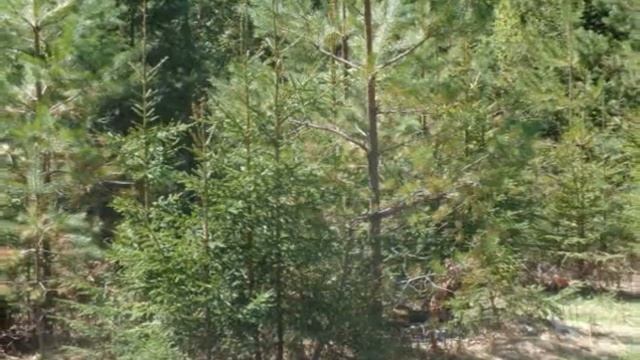 С любимыми не расставайтесь - поёт Светлана Русская смотреть онлайн