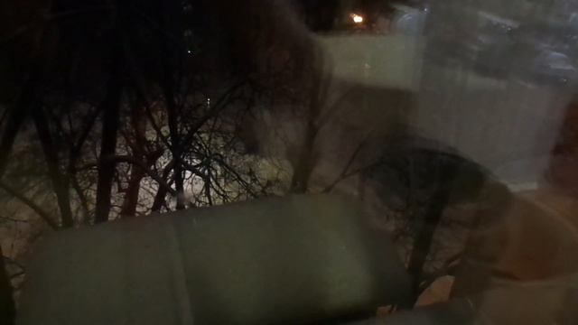 1355 - ВЛОГ/Срочная покупка/Мороз/Снег/Уши, Лапы, Хвост/от14 января 2021г