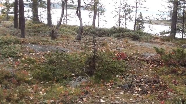 Сетка для переноски дров смотреть онлайн