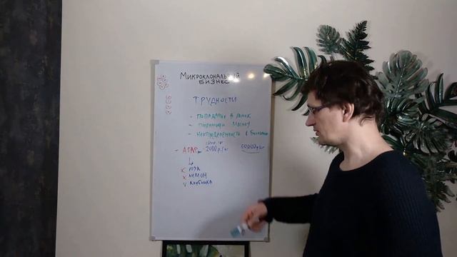 [94] Микроклональный бизнес, часть 2. Трудности смотреть онлайн