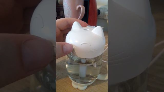 Кот не работает смотреть онлайн