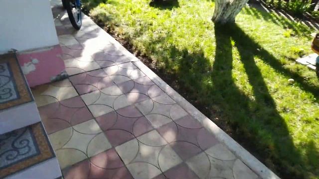 ШИЗОИД-ШОУ "ПРАВИЛЬНАЯ ГОТОВКА" или как приготовить яблочный салат "По-деревенски" смотреть онлайн