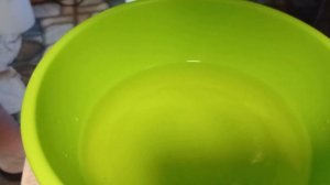 Тернеция гло разведение Икра тернеции глофиш Нерест тернеции глофиш