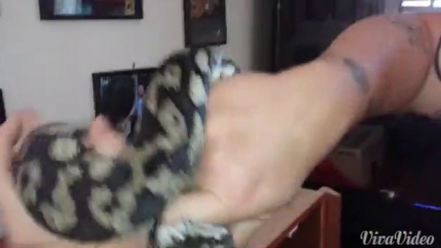 Python health check смотреть онлайн