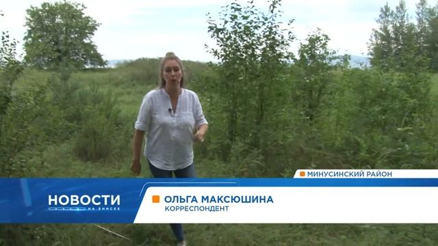 Краснокнижные птицы. Цапли. смотреть онлайн