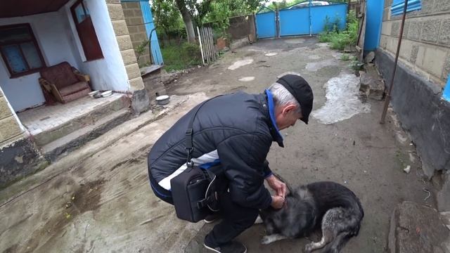 Соседи позвонили! Срочно едем на дачу! Обзор после дождя) Грибной суп по заказу смотреть онлайн