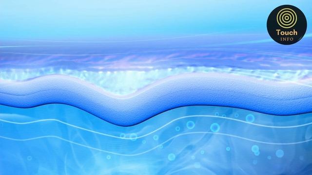 Where Do Your Nails Grow Up From? | Touch Info смотреть онлайн