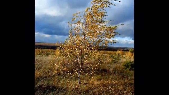 Натюрморт осени смотреть онлайн