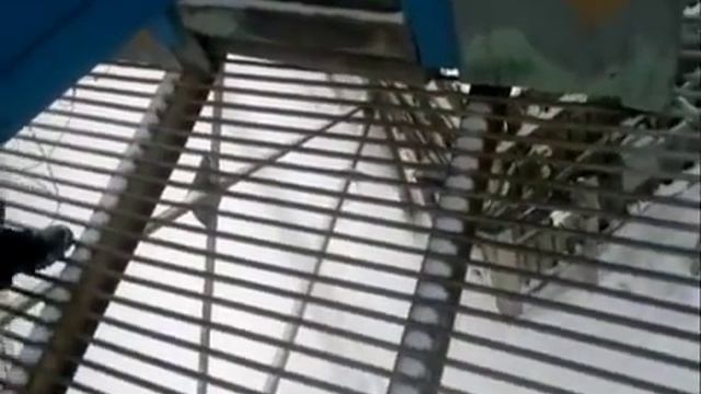 ФСИН России учения - настоящая жизнь !!!! смотреть онлайн