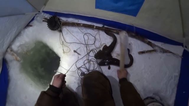 НОВЫЕ СТРАСТИ, НА НОВЫЕ СНАСТИ! Отличная рыбалка на Енисее смотреть онлайн