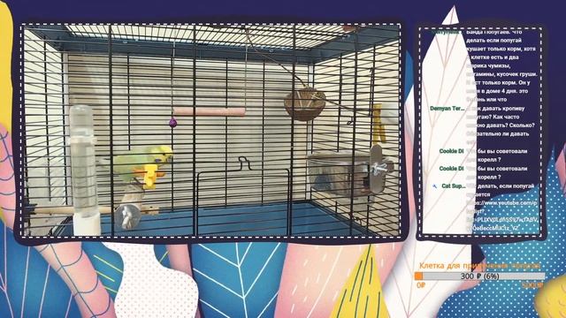 СТРИМ On Line Ответы на вопросы о волнистых попугаях смотреть онлайн