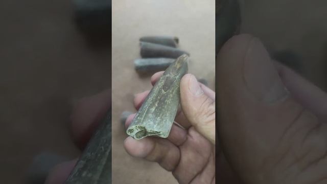 Белемниты. Древние кальмары. Окаменелости. Хобби, коллекционирование. смотреть онлайн