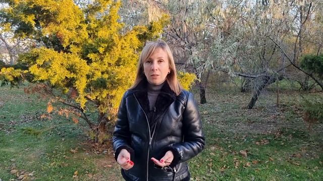 Почему женщины попадают в абьюзивные отношения? #каквыйтиизабьюза #абьюзивныеотношения #proабьюз смотреть онлайн