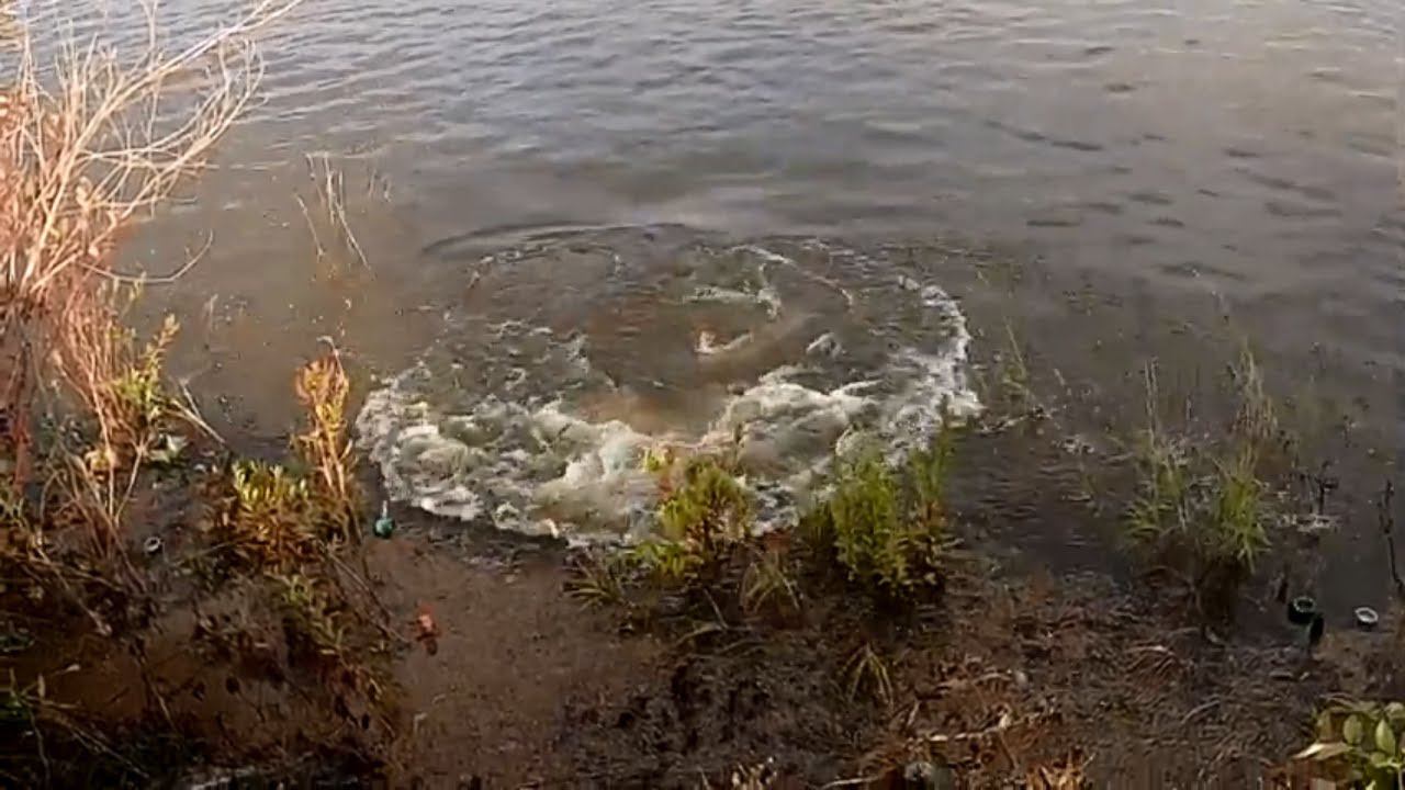 АТАКА СОМА на БЛЕСНУ смотреть онлайн