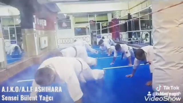 Ashihara Karate смотреть онлайн