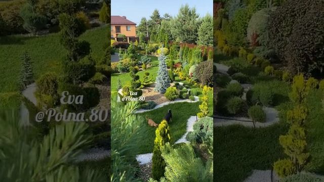 ТОПИАР В САДУ?Искусство смотреть онлайн