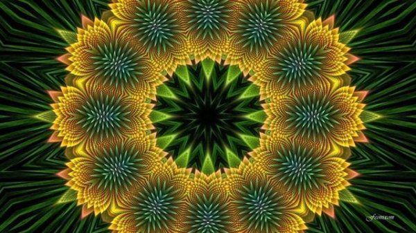 Mandala - Meditative Mind