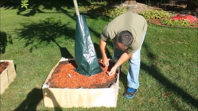 New Tree Water Bag Feature Saves Up to 70% of Tree Irrigation смотреть онлайн