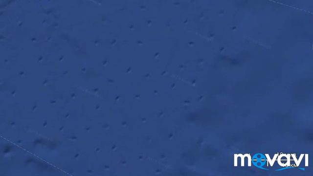 Кто бороздит дно Чёрного моря??? смотреть онлайн