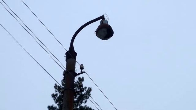 Старий уличный фонарь СПЗП-500 / Old street lamp смотреть онлайн