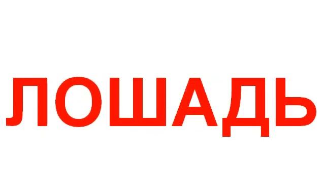 Слова звери звук смотреть онлайн