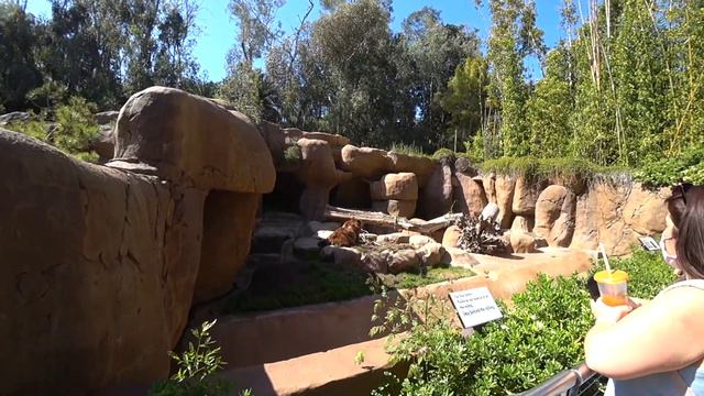 ЗООПАРК В АМЕРИКЕ смотреть онлайн