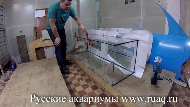 Как сделать аквариум с отсеками для торговли рыбками смотреть онлайн