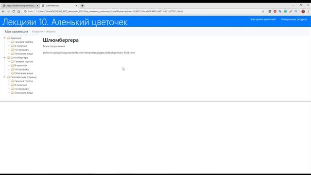Оформление Nasdanika Vinci сайта смотреть онлайн