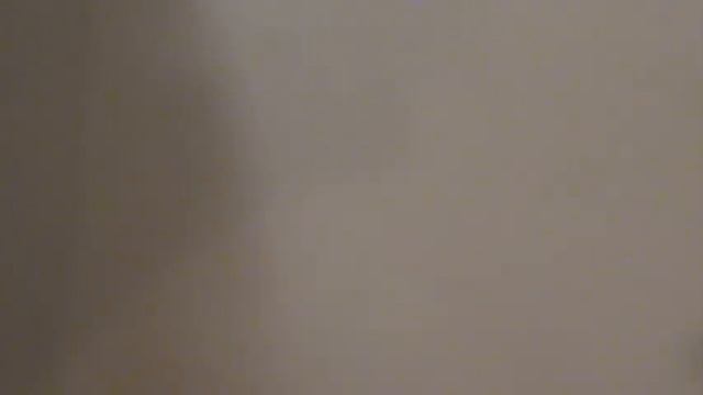 Николай Заболоцкий «Рыбная лавка» смотреть онлайн