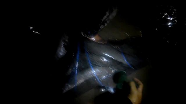 Нашли островок и поймали огромных рыб.Рыбалка на Капчагае смотреть онлайн