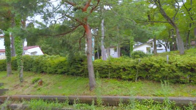 [4K] Sakuragaike - Japan Neighborhood Tour | Walk around a sunflower field and a beautiful pond смотреть онлайн